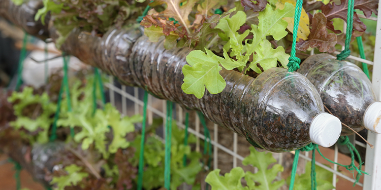 Water your garden wisely | DIY Drip Irrigation